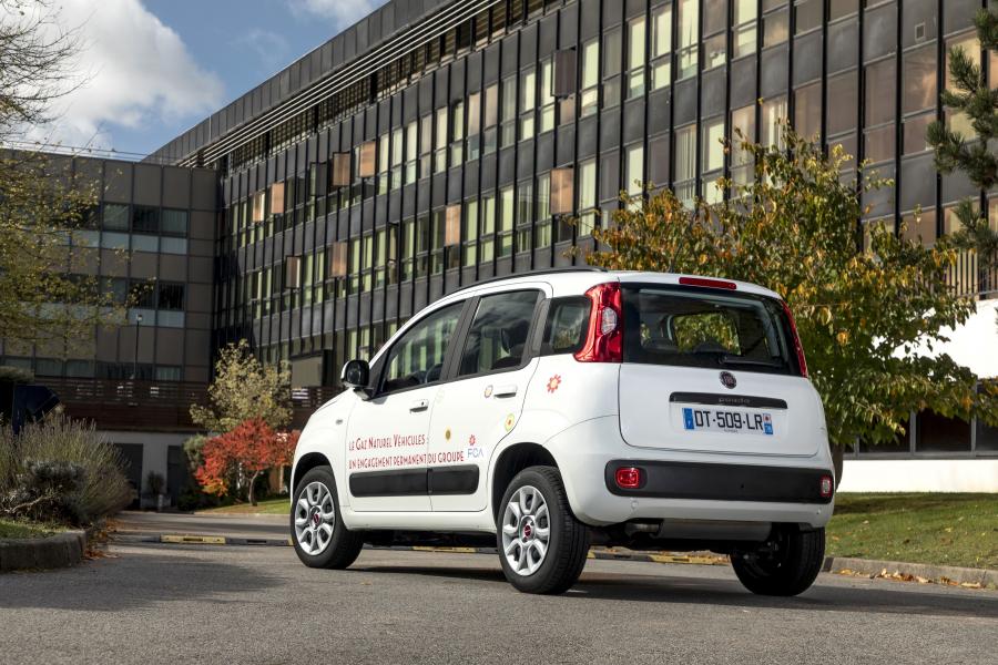  Fiat Panda Natural Power (319) 2012 года  (фото 16 из 38)
